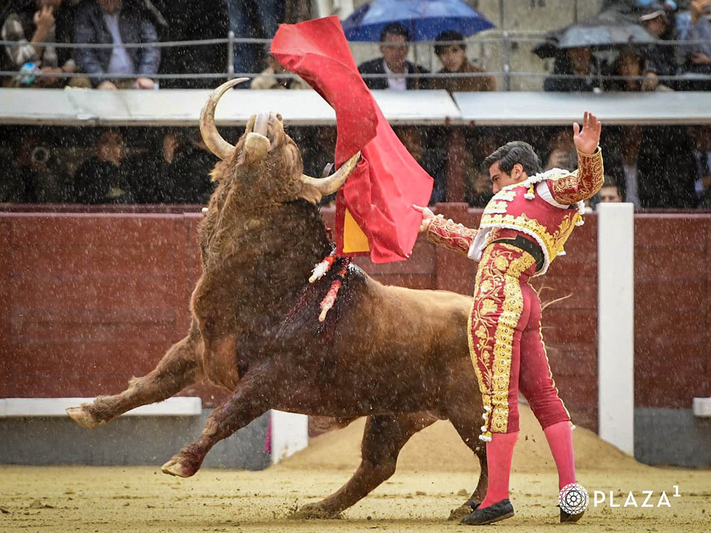 La bravura de Pedraza de Yeltes llega al final 4 Pase de pecho del torero venezolano Jesús Enrique Colombo. / PLAZA 1
