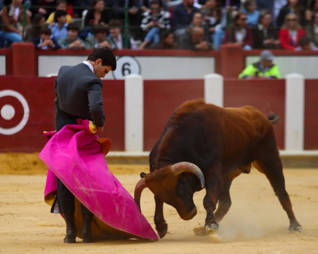 Jorge Oliva, en la clase práctica de Valladolid. / PLAZA DE TOROS DE VALLADOLID