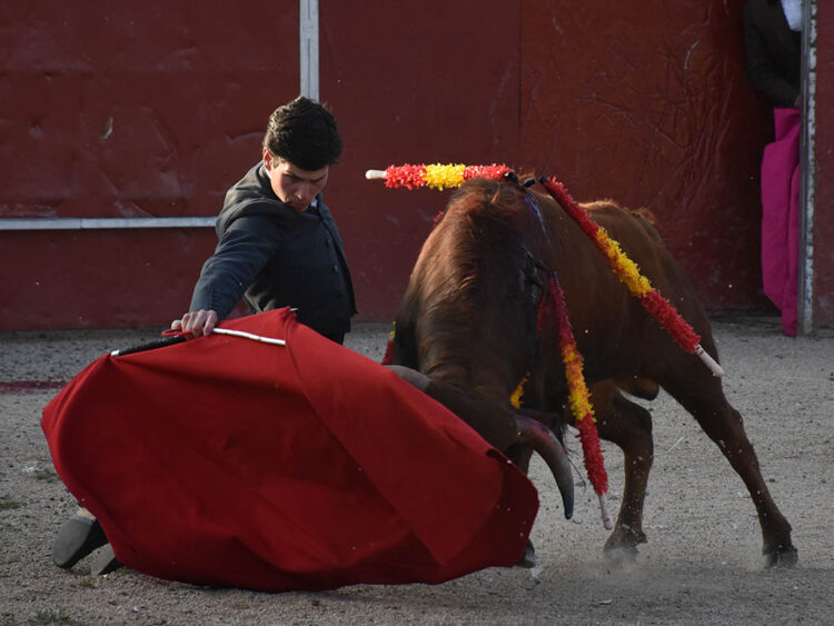 El segoviano Jorge Oliva corta una oreja en su debut en Francia 1 Jorge Oliva. / A.M.