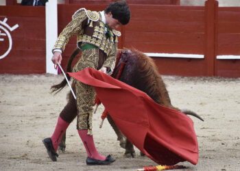 El novillero Jorge Oliva, de la Escuela Taurina Provincial de Segovia. / A.M.
