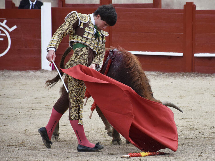 El novillero Jorge Oliva, de la Escuela Taurina Provincial de Segovia. / A.M.