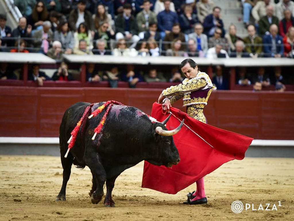 Detalle de Juan Ortega. / PLAZA 1