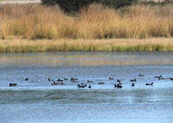 Lagunas de Cantalejo.