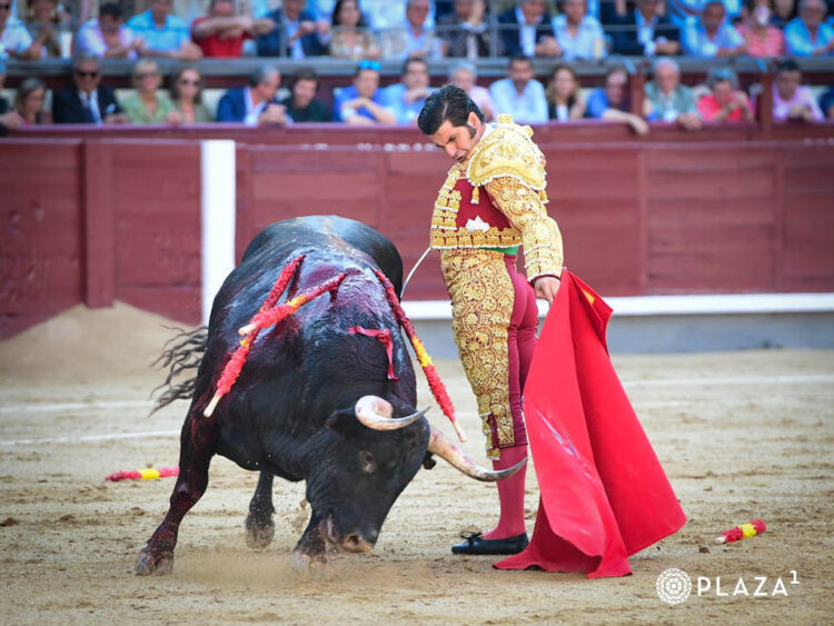 Una página para la historia del toreo 1 Natural de Morante de la Puebla, al toro 'Seminatista' de Garcigrande. / PLAZA 1