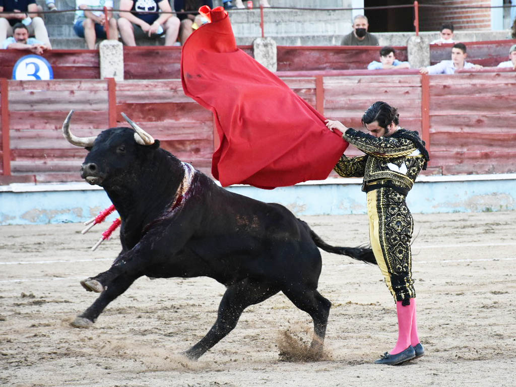 Morante de la Puebla, en su última tarde en la Plaza de Toros de Segovia (2021). / A.M.