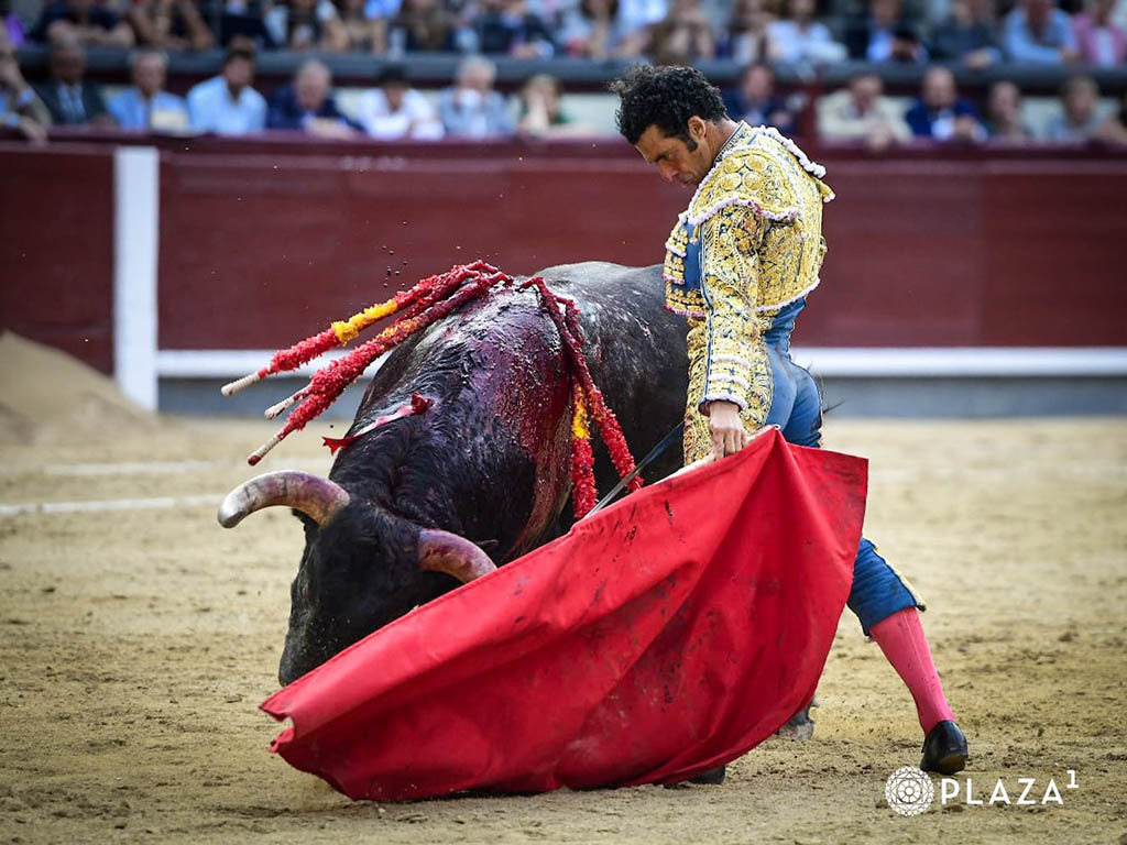 Resurgir desde el olvido 2 Natural de mano baja de Morenito de Aranda. / PLAZA 1