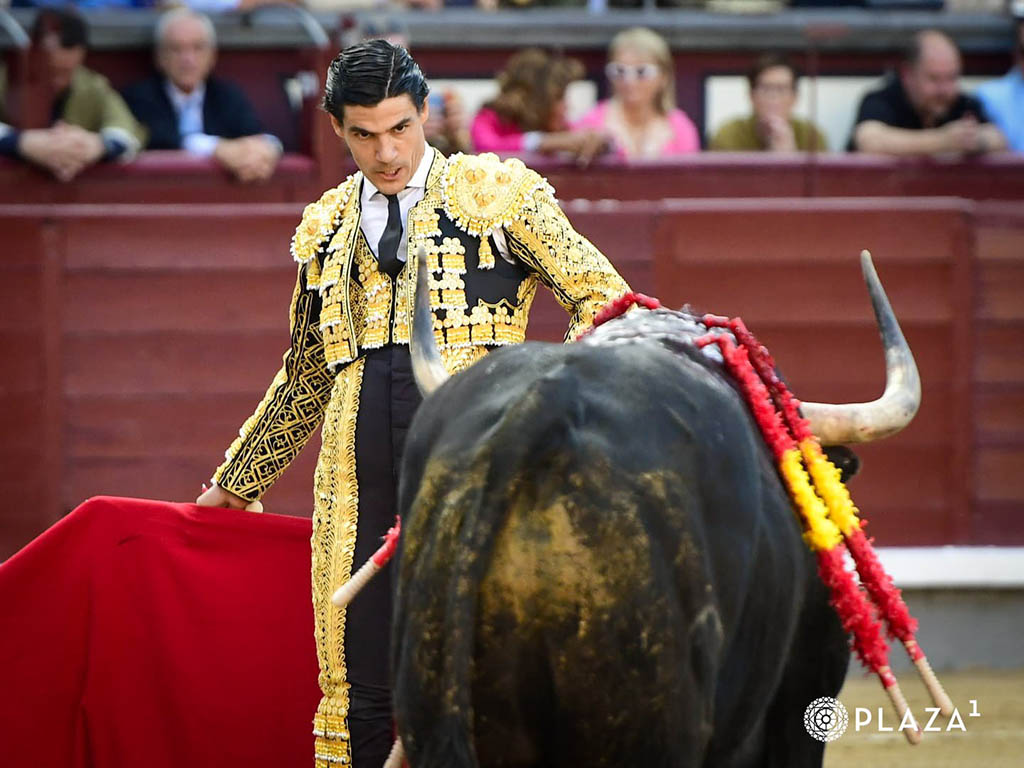 Pablo Aguado. / PLAZA 1