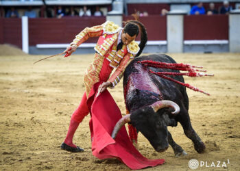 Detalle por bajo de Paco Ureña, con el buen segundo toro de Valdefresno. / PLAZA 1