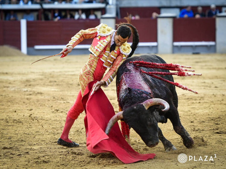 Mansedumbre sin sujección 1 Detalle por bajo de Paco Ureña, con el buen segundo toro de Valdefresno. / PLAZA 1