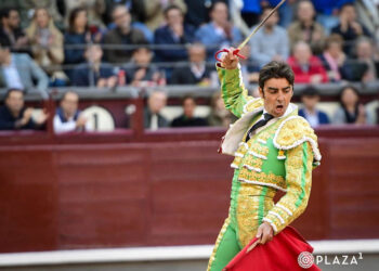El diestro extremeño Miguel Ángel Perera. / PLAZA 1