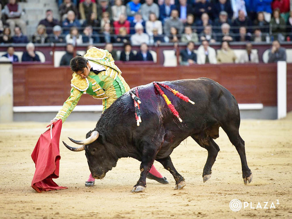 El diestro extremeño Miguel Ángel Perera, con el toro ‘Amargado’, de la ganadería de Fuente Ymbro. / PLAZA 1