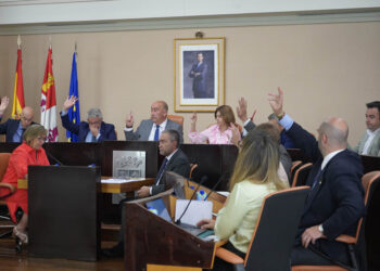 Votación del Pleno de la Diputación. / DIPUTACIÓN