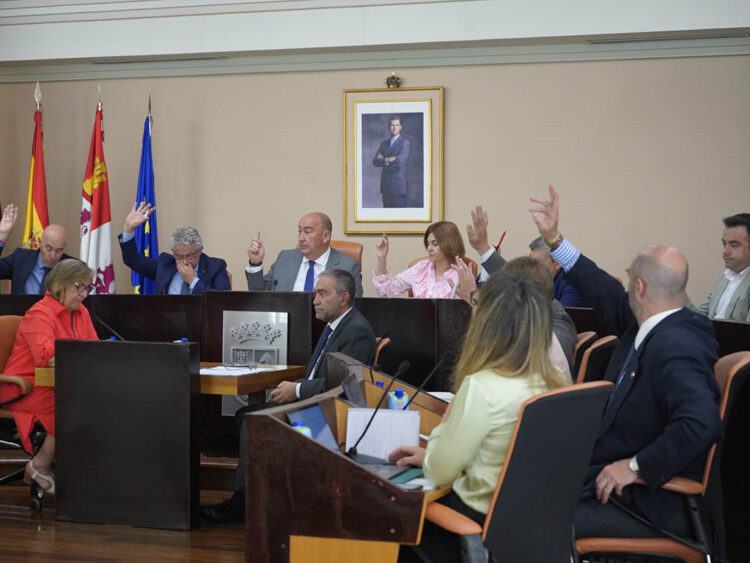 El Pleno de la Diputación exige al Ministerio una solución inmediata para recuperar las frecuencias de AVE 1 Votación del Pleno de la Diputación. / DIPUTACIÓN