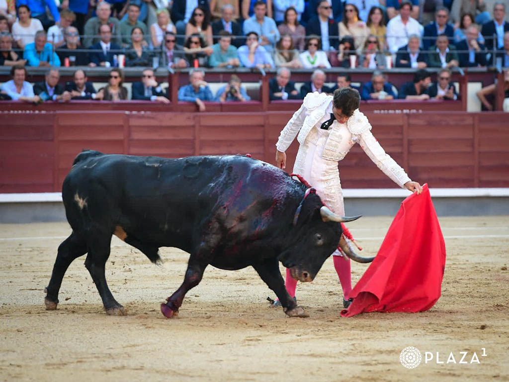 Entre la acritud de la exigencia y el ambiente de los 'juernes' 3 Natural largo de Rafael Serna. / PLAZA 1