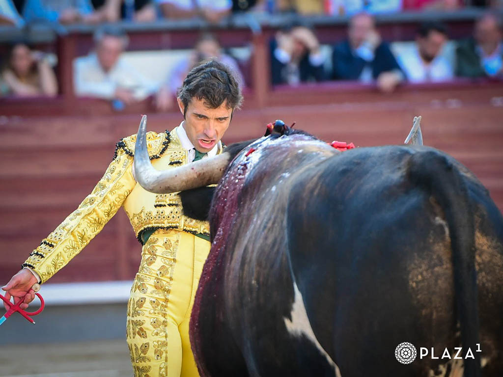 Un ludópata a fondo perdido 3 Robleno