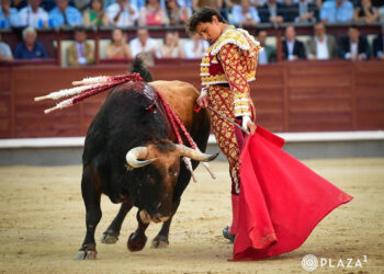 Pase por bajo de Roca Rey. / PLAZA 1