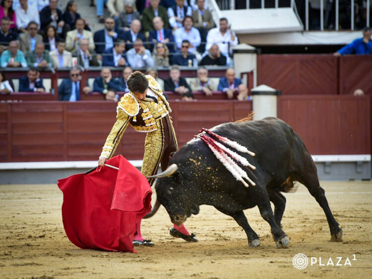 El empalago del exceso 1 Derechazo de Sebastián Castella en Las Ventas. / PLAZA 1