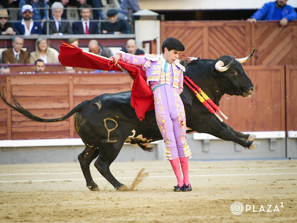 La claridad de ideas y la actitud de Aaron Palacio 2 Bernadina de Sergio Sánchez, al primer novillo de Alcurrucén. / PLAZA 1