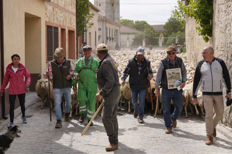 Instantes de la Feria de la Trashumancia en 2023 / E.A.