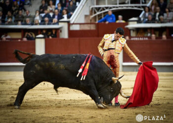 Natural de Alejandro Talavante al buen toro de Victoriano del Río, de nombre ‘Misterio’. / PLAZA 1