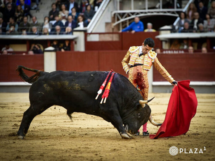 Natural de Alejandro Talavante al buen toro de Victoriano del Río, de nombre ‘Misterio’. / PLAZA 1