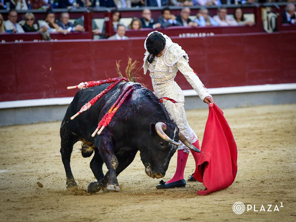 Detalles de proyección 3 Toreo templado del novillero portugués Tomás Bastos en Las Ventas. / PLAZA 1