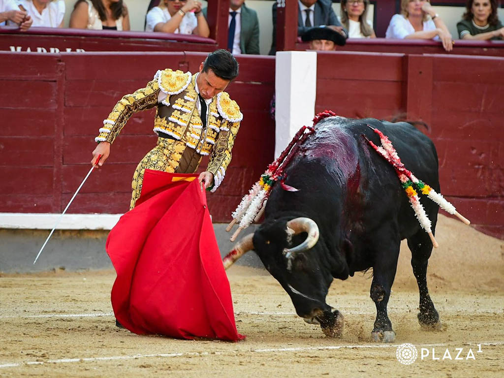 Entre la acritud de la exigencia y el ambiente de los 'juernes' 4 Trincherilla de Diego Urdiales. / PLAZA 1