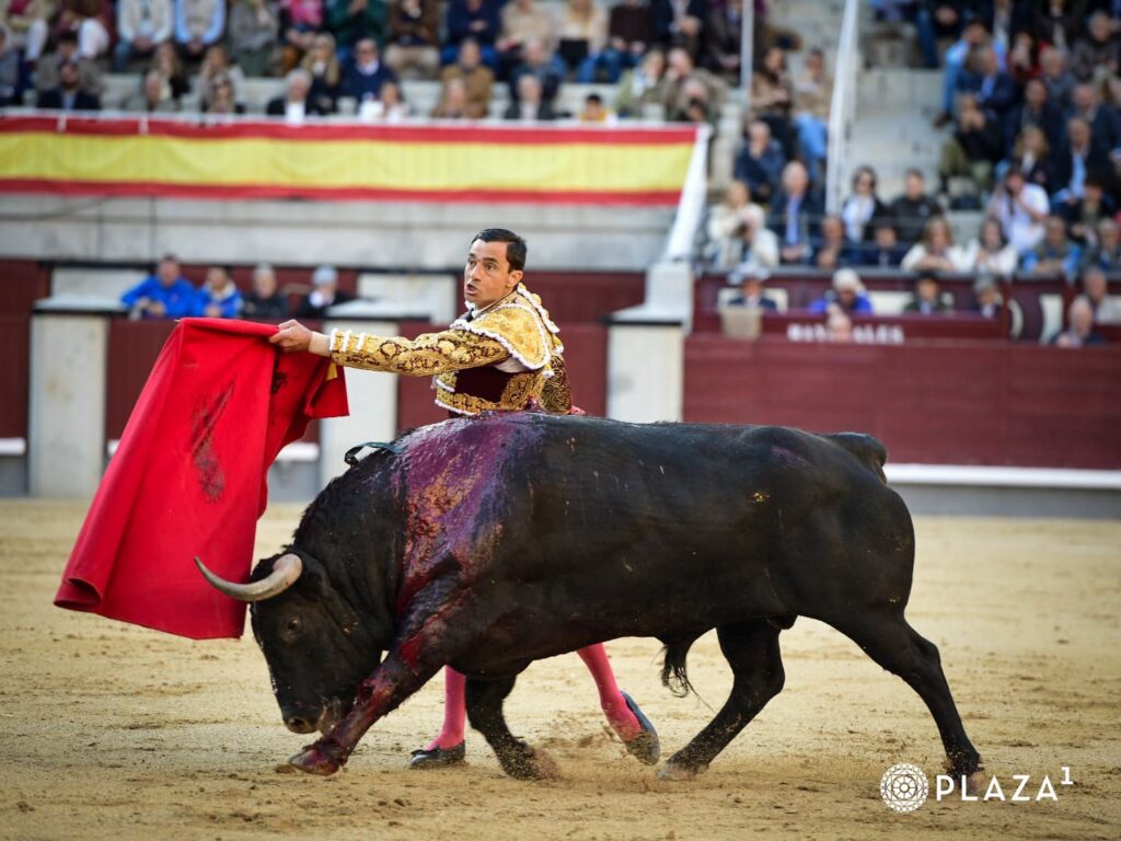 El torero murciano Paco Ureña, con el segundo toro de la tarde, el hierro de Fuente Ymbro. / PLAZA 1