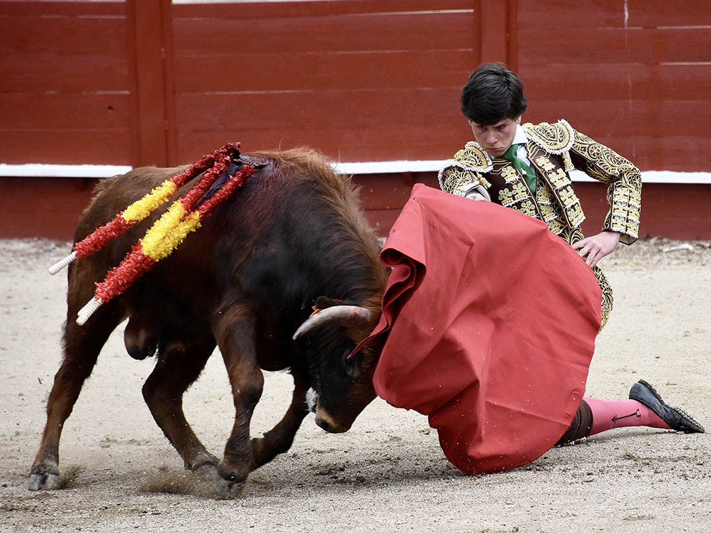 El novillero Jorge Oliva, de la Escuela Taurina Provincial de Segovia. / A.M.