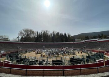 Edición anterior de la feria.