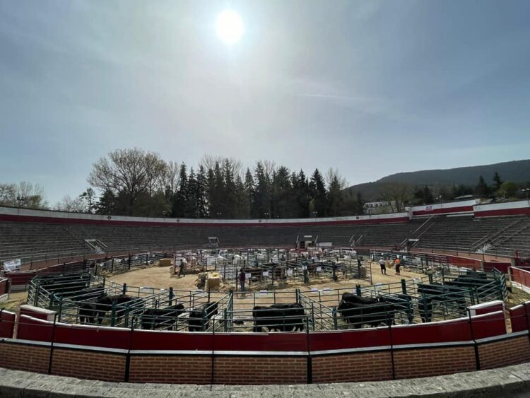 Edición anterior de la feria.