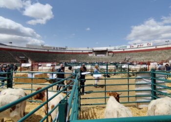 Vista de la Feria de Ganado en ediciones anteriores / E.A.