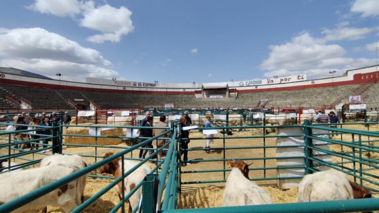 Vista de la Feria de Ganado en ediciones anteriores / E.A.