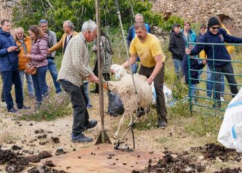 Ediciones pasadas de la feria / E.A.