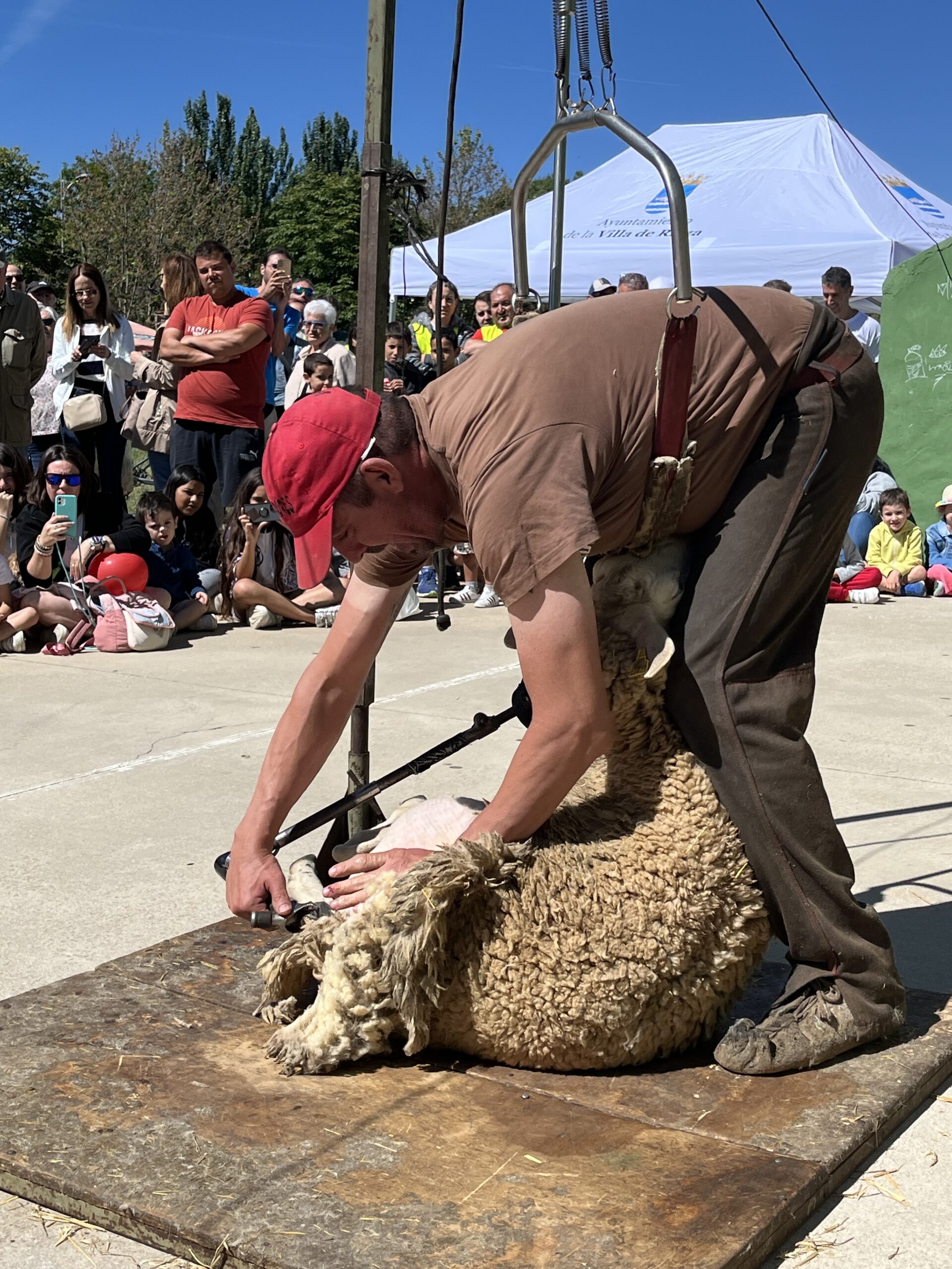 La tradicional Fiesta del Esquileo vuelve a Riaza 2 Fiesta del Esquileo de Riaza en ediciones anteriores / AYTO. RIAZA