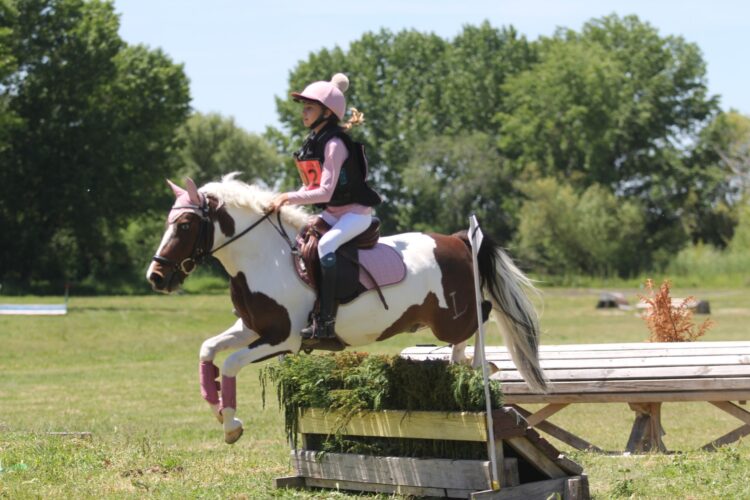 Gran acogida del Precampeonato de España de ponis en Segovia 1 Carlota García de Paredes, con ‘Isotz Urdin’ durante la prueba./FHCYL