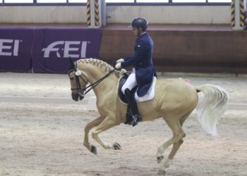 Alejandro Díaz Boza, con ‘Caramelo de Ferri’, en un ejercicio del Nacional./FHCYL