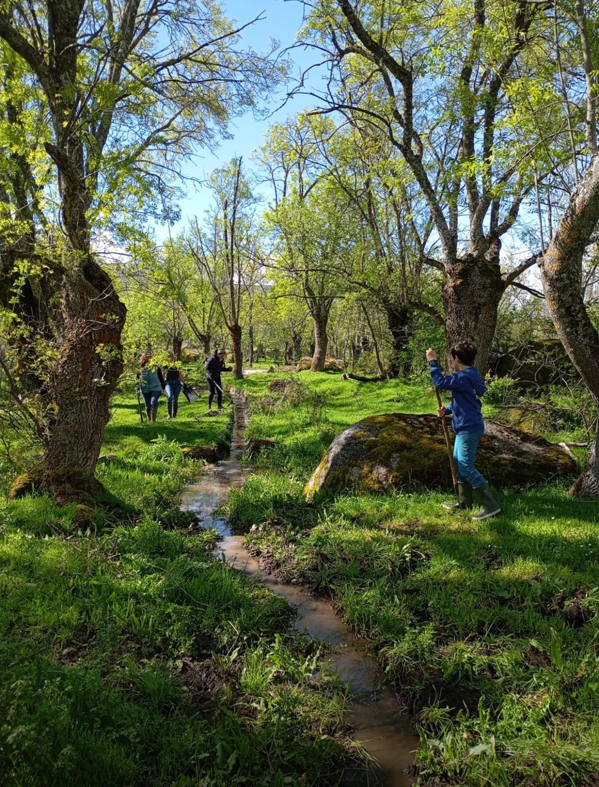 Instantes de la jornada de limpieza / AYTO. DE ORTIGOSA DEL MONTE