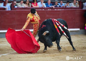 Muletazo largo del novillero salmantino Marco Pérez a un ejemplar de El Freixo. / PLAZA 1