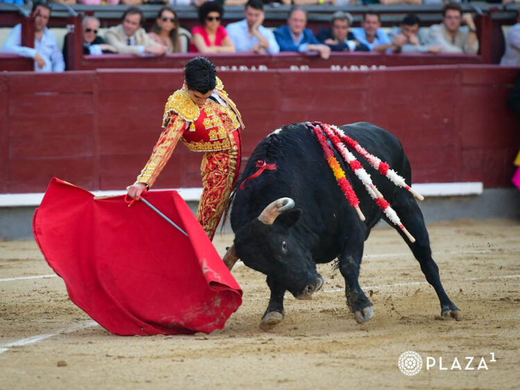 Muletazo largo del novillero salmantino Marco Pérez a un ejemplar de El Freixo. / PLAZA 1