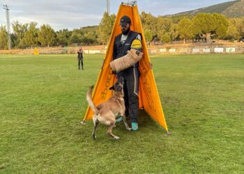 Prueba de adiestramiento canino / E.A.