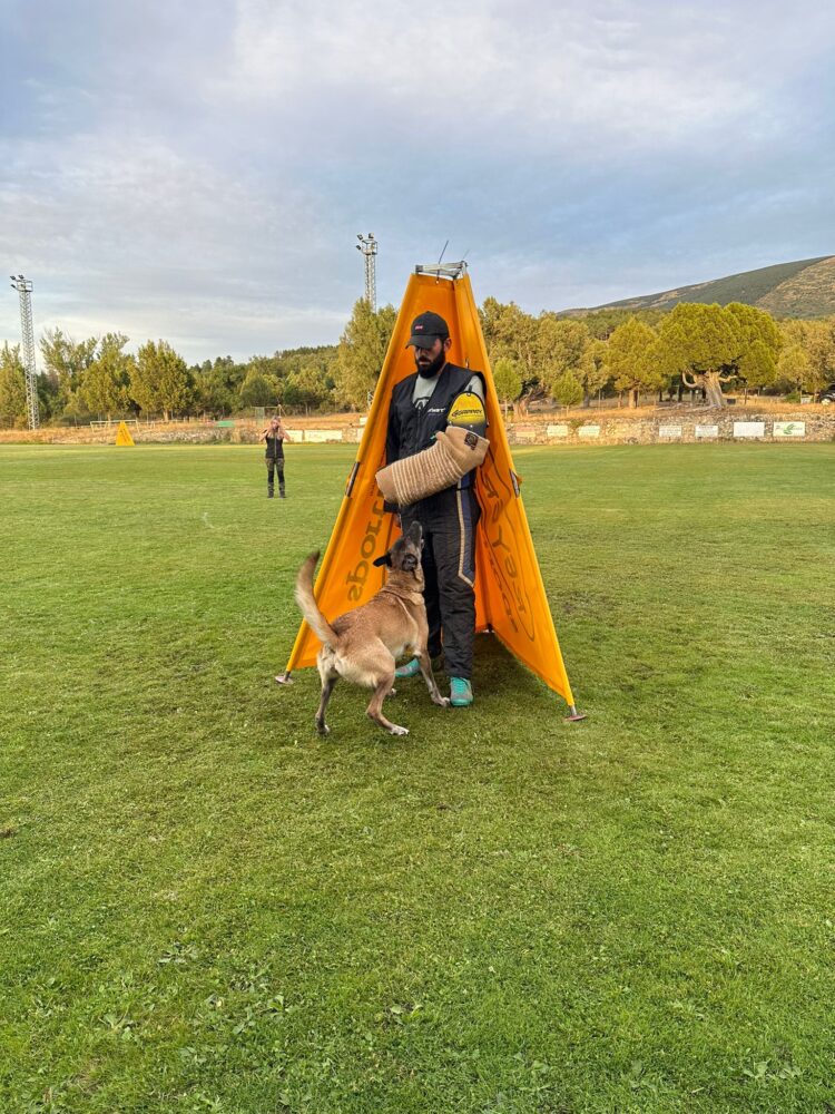 Prueba de adiestramiento canino / E.A.