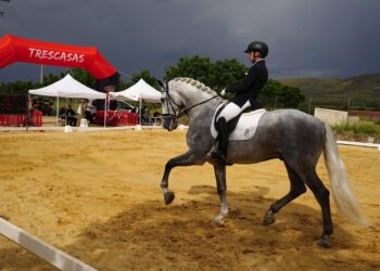 Concurso de doma/MARIO ANTON LOBO