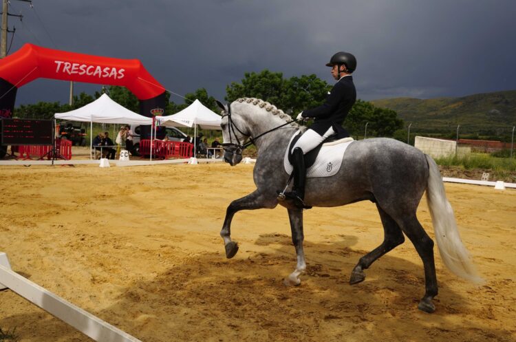 Concurso de doma/MARIO ANTON LOBO