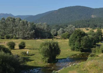Paraje de Valsaín. / José Antonio Santos