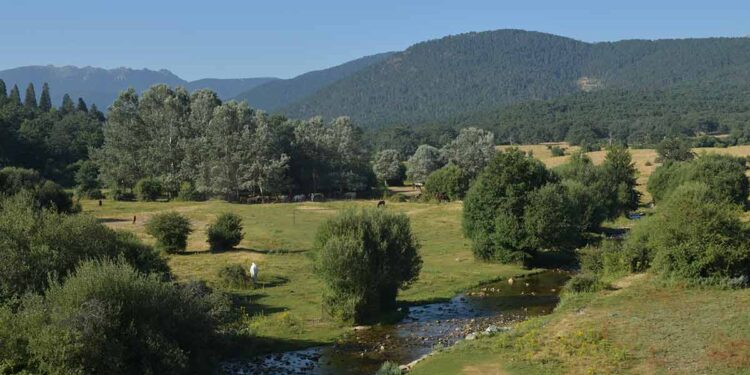 Valsaín, escenario de una ruta guiada por la naturaleza de la Fundación Caja Rural 1 Paraje de Valsaín. / José Antonio Santos