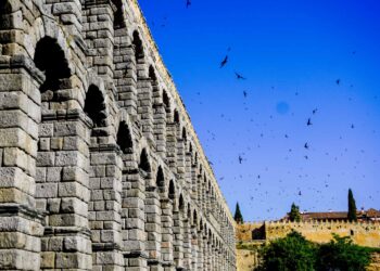 Vencejos sobrevolando el Acueducto. / HÉCTOR CRIADO
