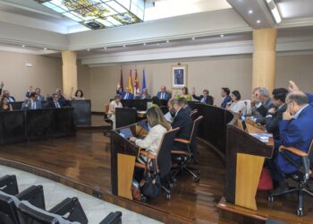 Una de las votaciones del pleno de la Diputación.