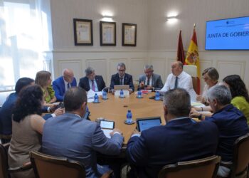 Última Junta de Gobierno de la Diputación de Segovia.