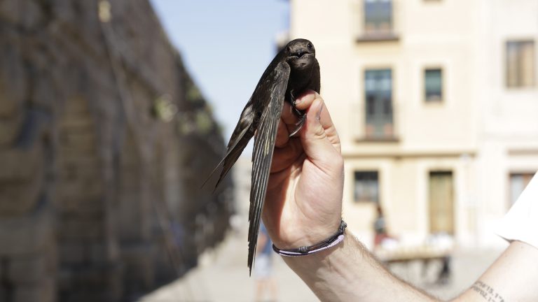 FOTO: NEREA LLORENTE